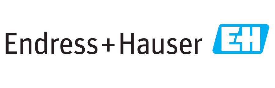 Endress and Hauser Logo