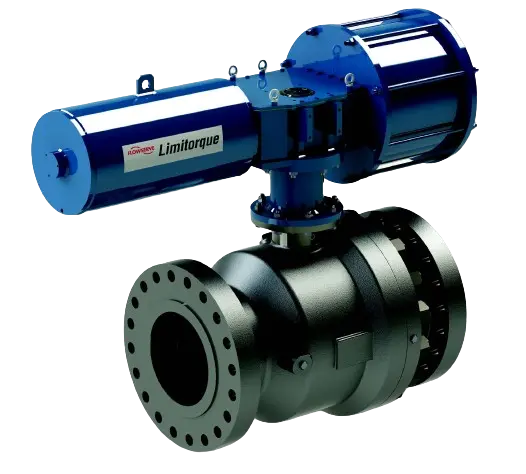 Limitorque Quarter Turn and Linear Valve